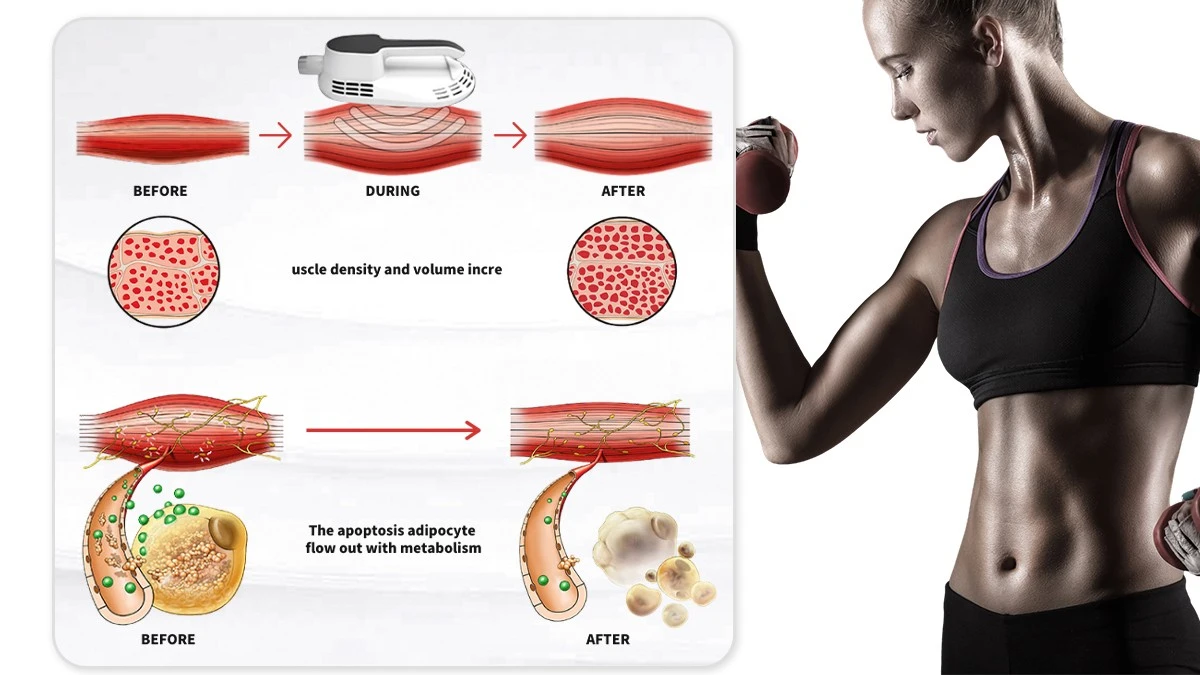 4 Handles Muscle Building System 4 Handles Muscle Building System